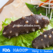 Top quality Quality Sea Cucumber